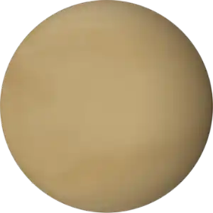 Venus at scale.